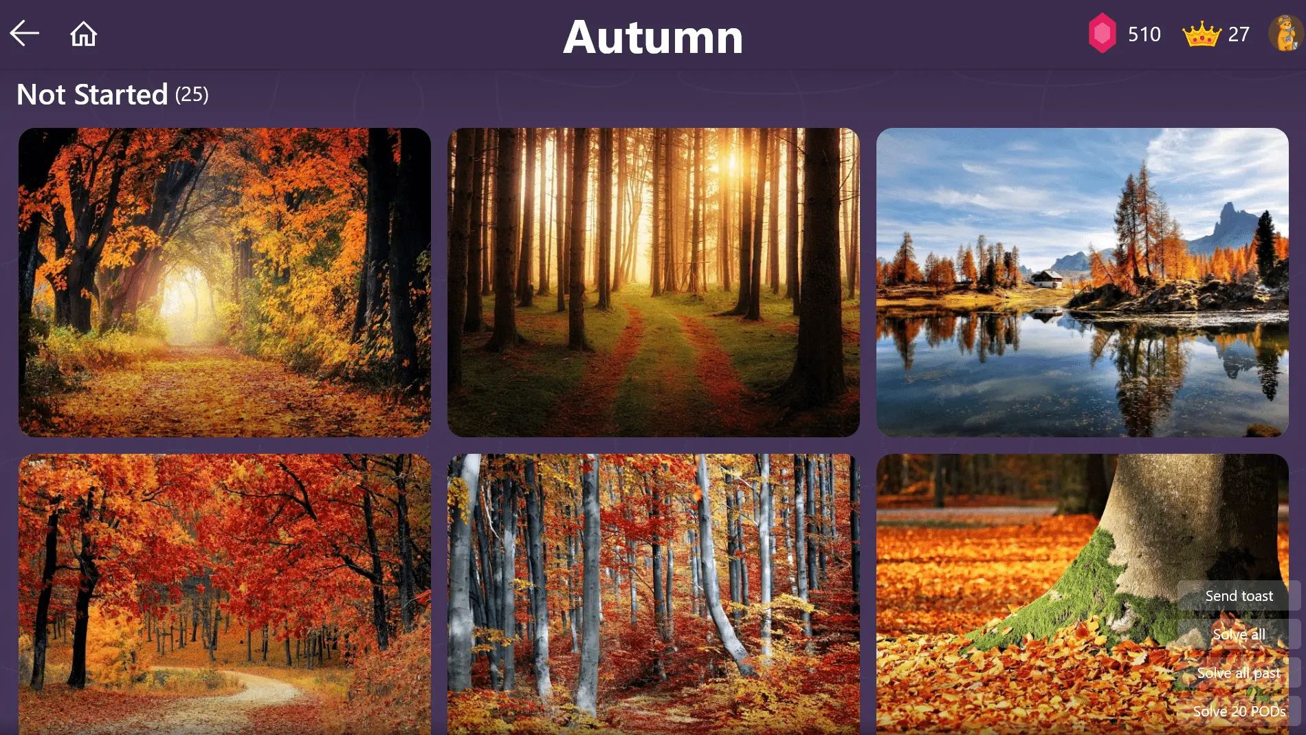 Autumn Puzzles Unlocked