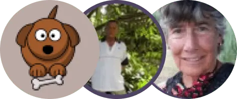 Hidden Word Search reviewers images
