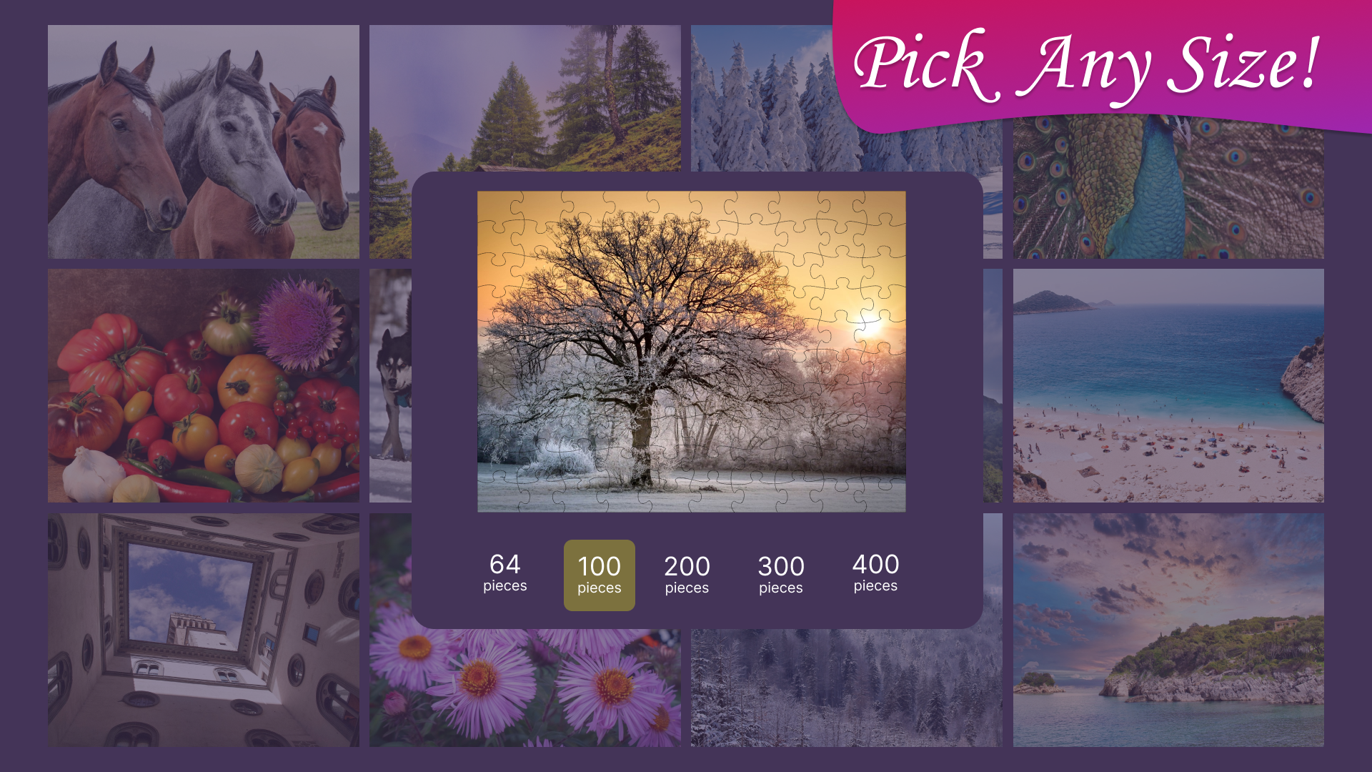 Jigsaw Puzzle Frenzy: screenshot of the number of pieces in the puzzle picker