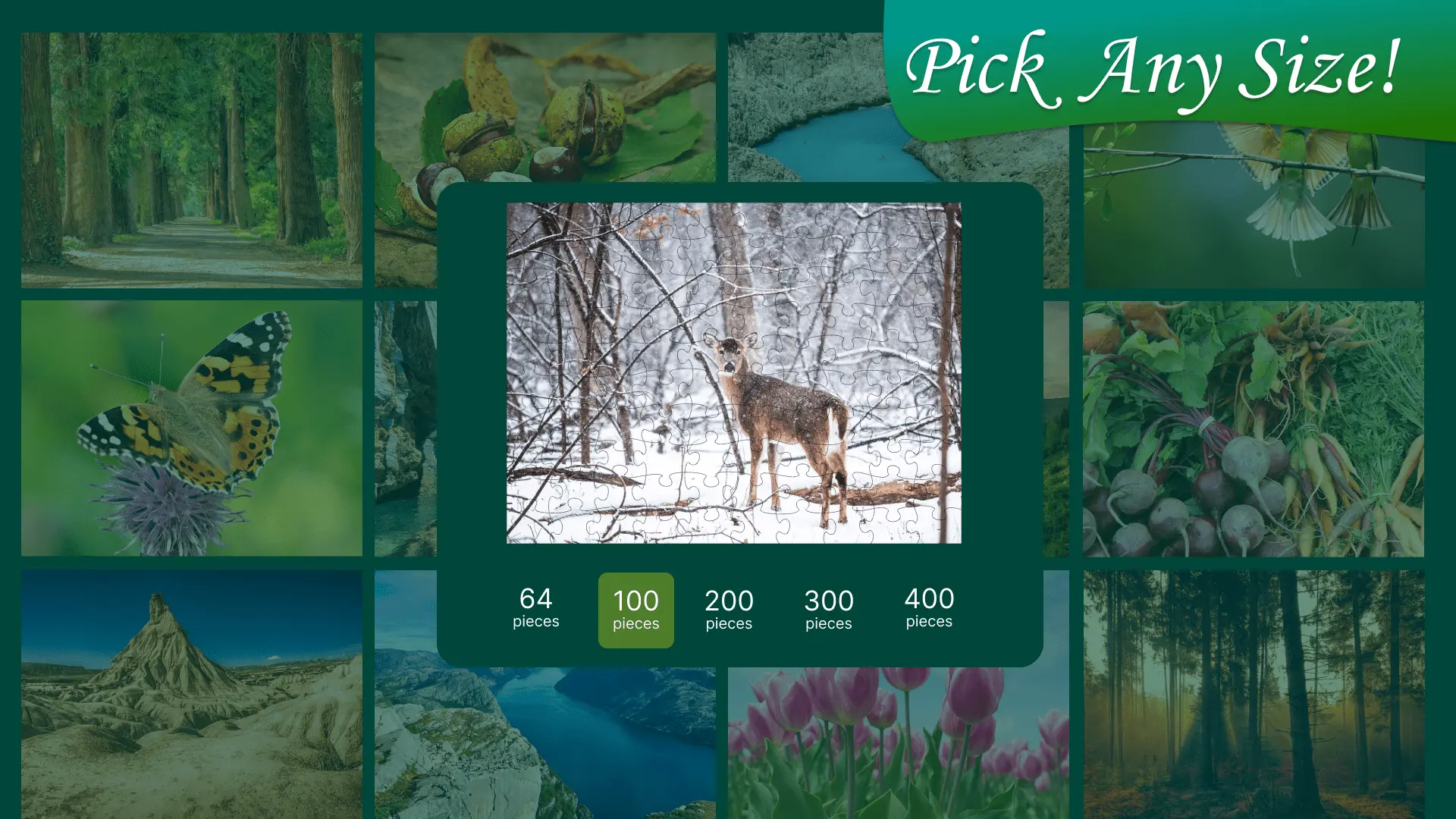 Jigsaw Puzzle Nature: screenshot of the number of pieces in the puzzle picker