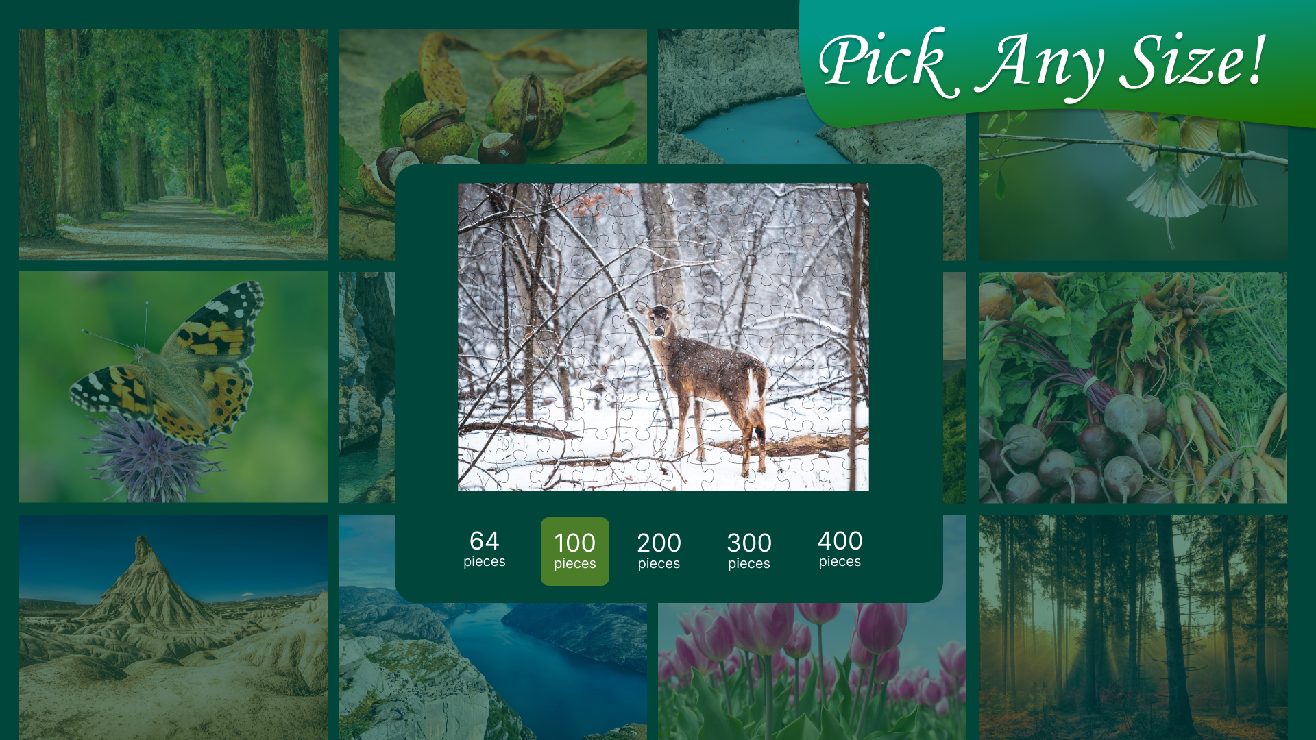 Jigsaw Puzzle Nature: screenshot of the number of pieces in the puzzle picker