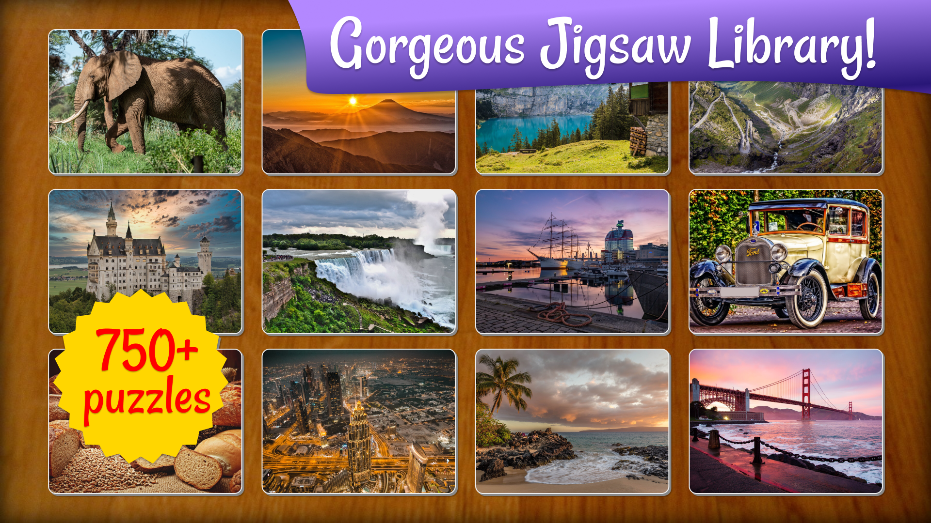 Jigsaw Puzzle Quest: screenshot of the puzzle library.